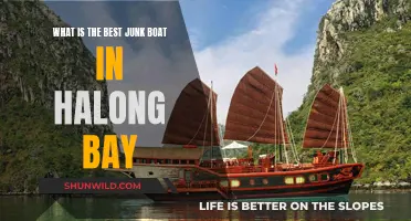 Junk Boat Gem: Halong Bay's Best Vessel Experience