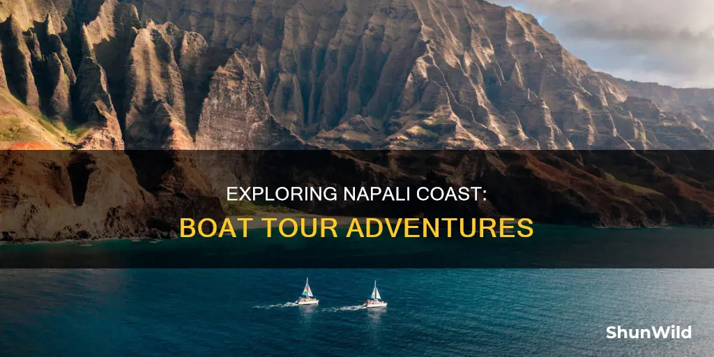 what is the best napali coast boat tour activity