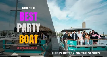 Best Party Boat Options for Your Next Celebration