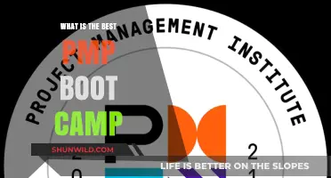 Top PMP Boot Camp: Find the Best Training for Success