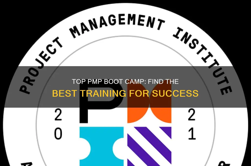 what is the best pmp boot camp