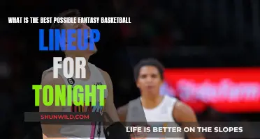 Fantasy Basketball Lineup: Tonight's Dream Team