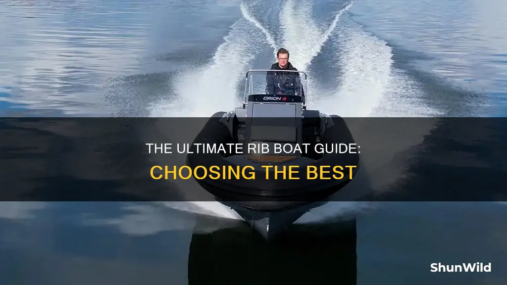 what is the best rib boat