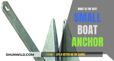 Small Boat, Big Decision: Choosing the Right Anchor