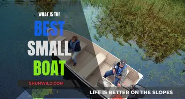 Small Boats, Big Fun: Choosing the Best Vessel