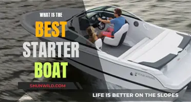 The Ideal Entry Point: Choosing Your First Boat