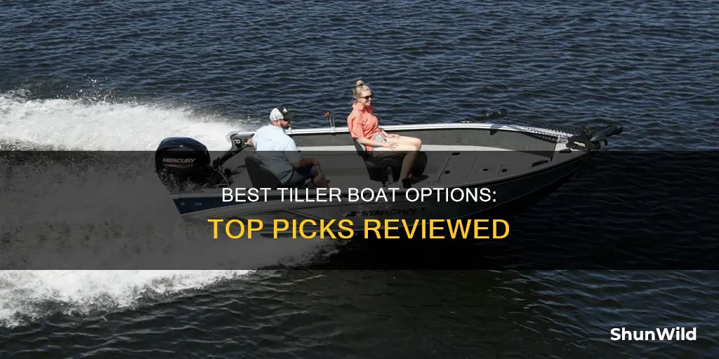 what is the best tiller boat