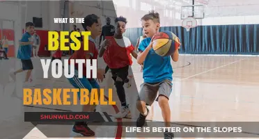 Best Youth Basketballs: Picking the Perfect One