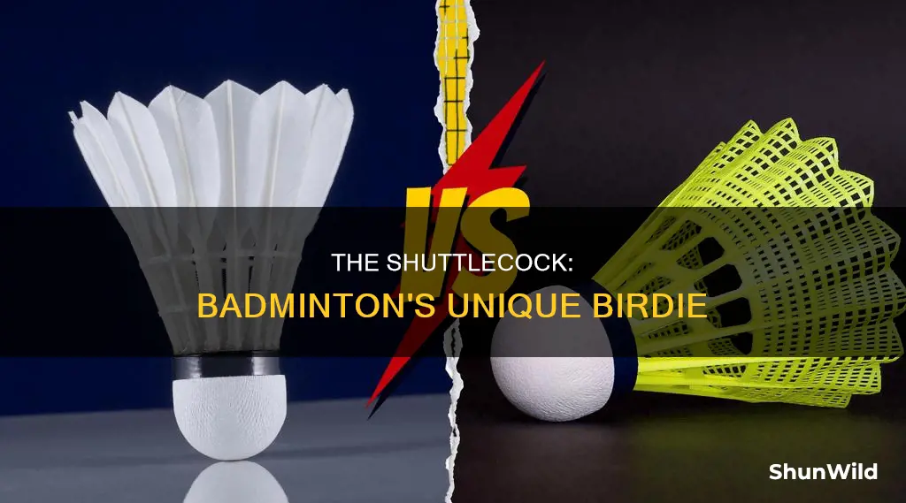what is the birdie called in badminton