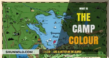 Exploring the Vibrant World of Camp Colors: A Comprehensive Guide