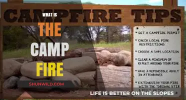 Understanding the Campfire: A Guide to Safe and Enjoyable Outdoor Fires