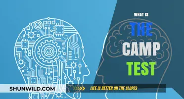 Exploring the Turing Test: A Journey into AI's Mind-Bending Challenge