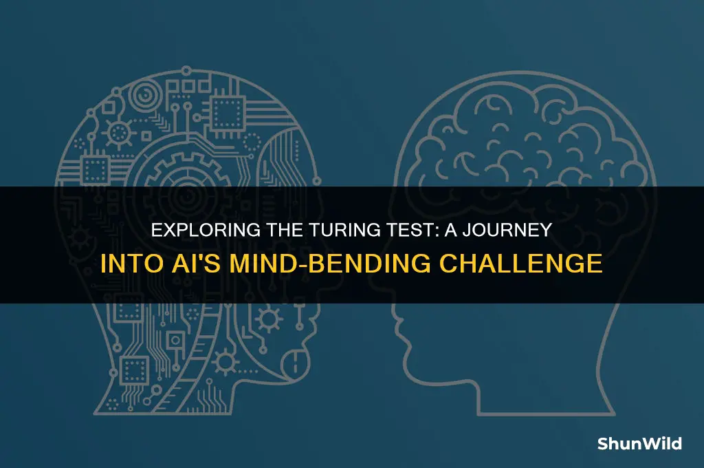 what is the camp test