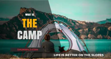 Exploring the Great Outdoors: A Beginner's Guide to Camping