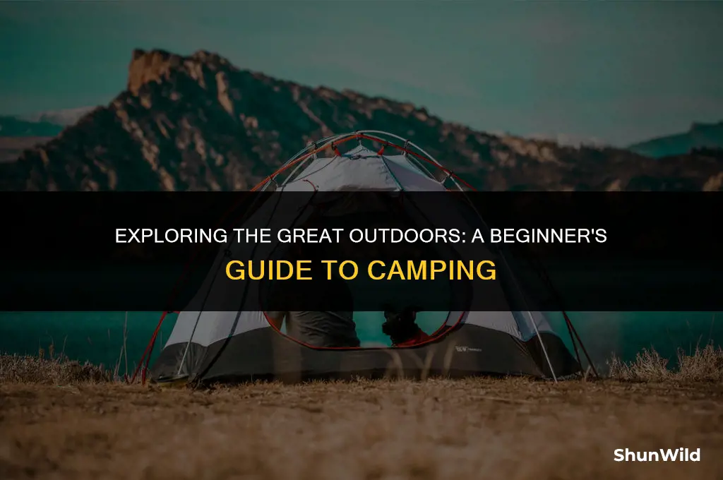 what is the camp