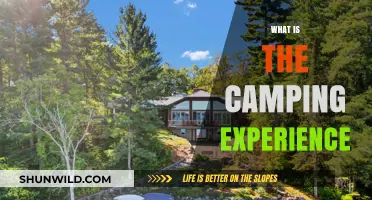 Embracing the Great Outdoors: A Beginner's Guide to Camping Bliss