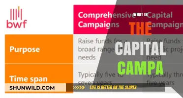 Exploring the Capital Campaign: A Comprehensive Guide
