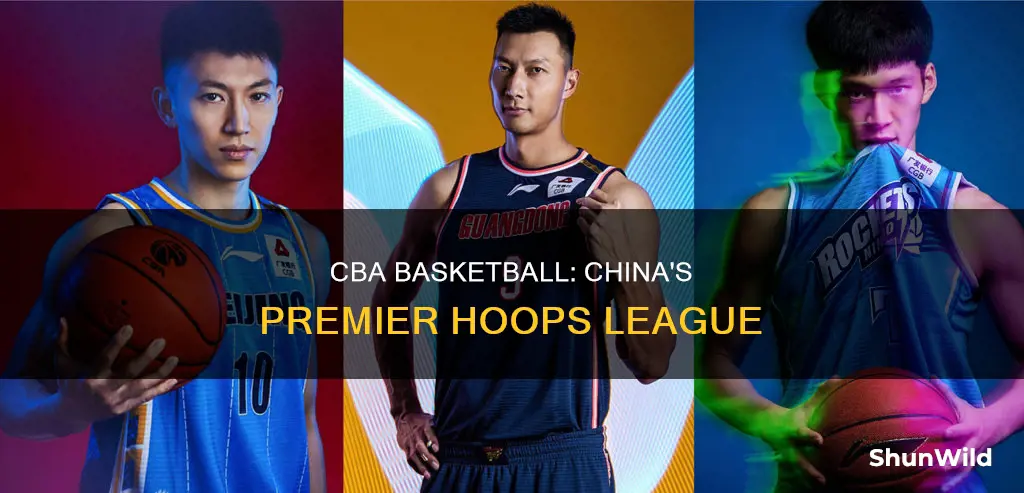 what is the cba basketball