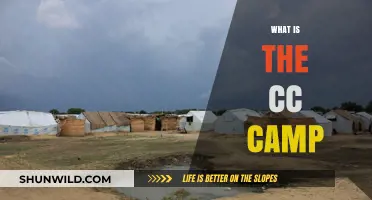Exploring the CC Camp: A Comprehensive Guide to Creative Commons