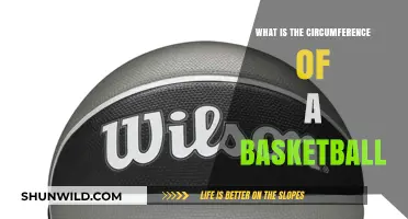 Circumference of a Basketball: Understanding the Standard Size
