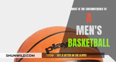 Circumference of Men's Basketballs: Understanding the Standard Size