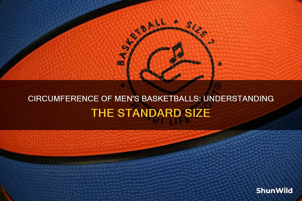 what is the circumference of a men
