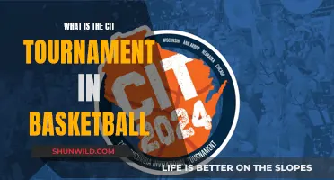 The CIT Basketball Tournament: What and Why
