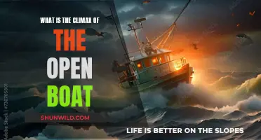 The Open Boat: Climactic Moment of Realization