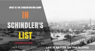 Schindler's List: Unveiling the Płaszów Concentration Camp's Dark History