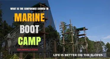 Understanding the Confidence Course in Marine Boot Camp: Challenges and Benefits