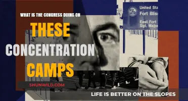 Congress' Response to the Crisis of Detention Camps in America