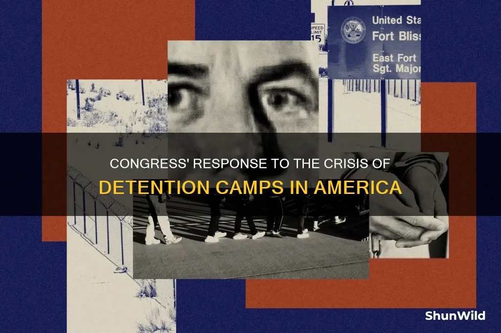 what is the congress doing on these concentration camps