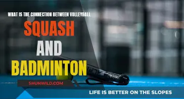 Similarities Between Volleyball, Squash, and Badminton