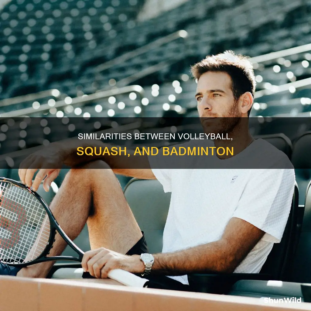 what is the connection between volleyball squash and badminton