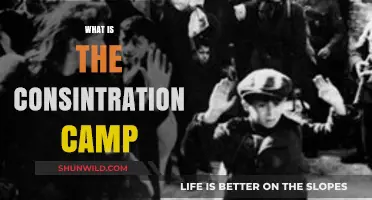 Unveiling the Horrors: A Deep Dive into Concentration Camps