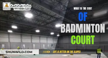 The Expense of Constructing a Badminton Court