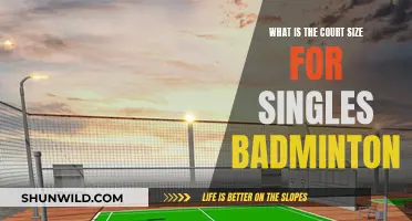 Badminton Singles Court Size: All You Need to Know