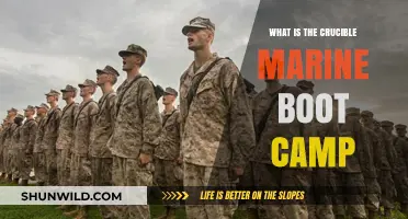 The Crucible: Unveiling the Intense Marine Boot Camp Experience
