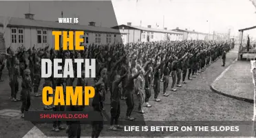 Understanding Death Camps: History, Atrocities, and Lasting Impact Explained
