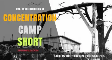 Understanding Concentration Camps: A Concise Definition and Historical Overview