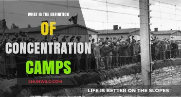 Understanding Concentration Camps: Definition, History, and Global Impact