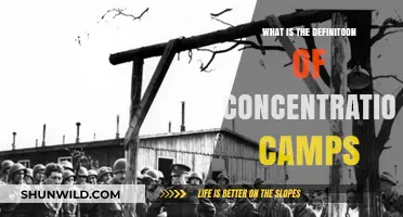 Understanding Concentration Camps: Definition, History, and Global Impact
