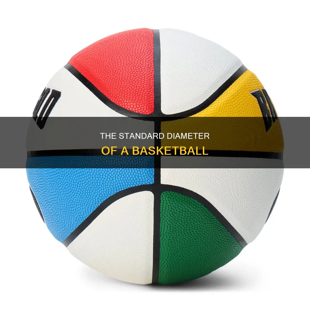 what is the diameter of a basketball ball