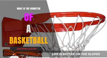 The Standard Diameter of a Basketball: Size Matters