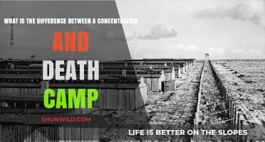 Concentration vs. Death Camps: Understanding the Chilling Differences