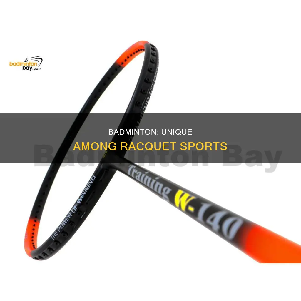 what is the difference between badminton and other racquet sports