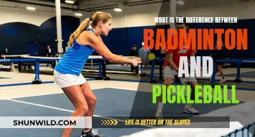 Badminton vs Pickleball: What's the Real Difference?