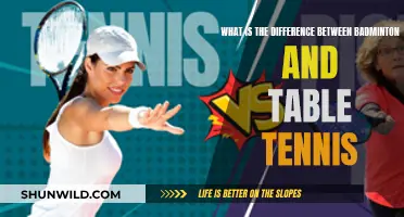 Badminton vs Table Tennis: A Contrast