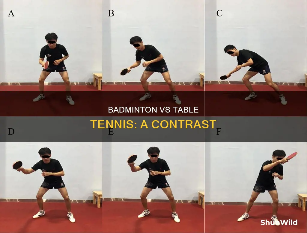 what is the difference between badminton and table tennis