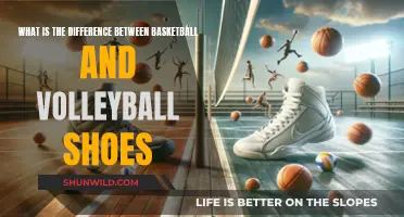 Basketball vs Volleyball Shoes: What's the Difference?